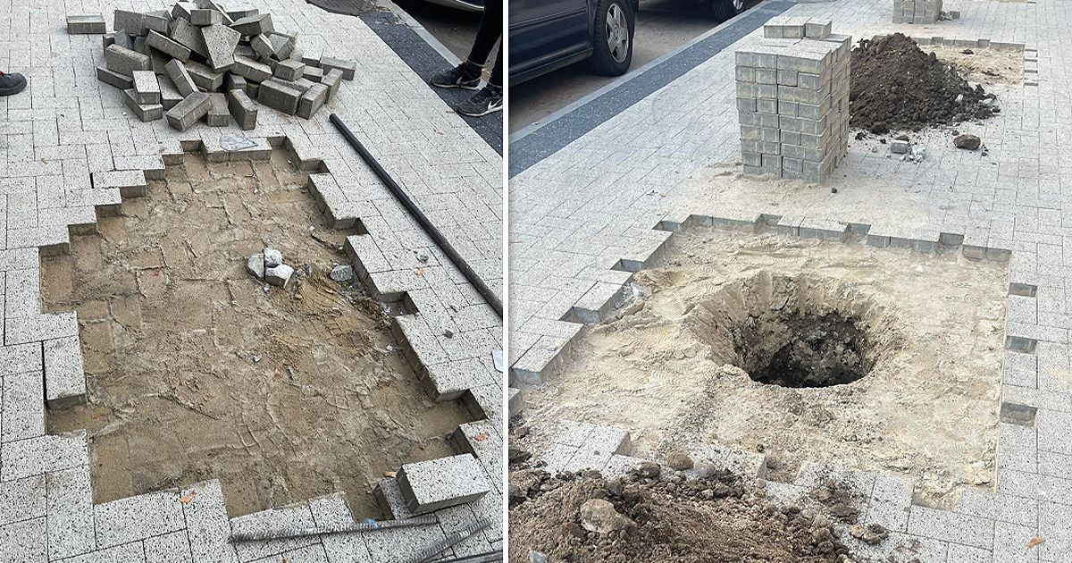 В центре Кишинева снимают свежеуложенную плитку, чтобы посадить кусты. Коллаж: Point.md