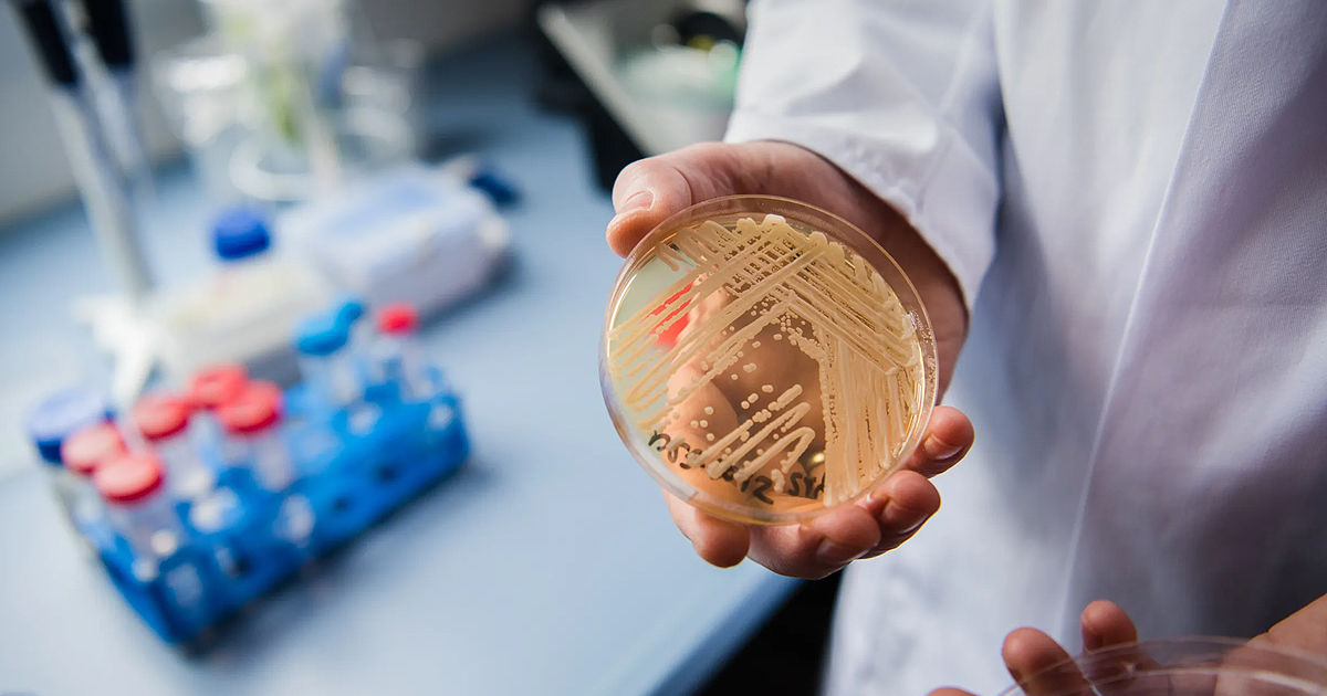 O infecție fungică mortală, rezistentă la medicamente, se răspândește în spitalele din Europa.