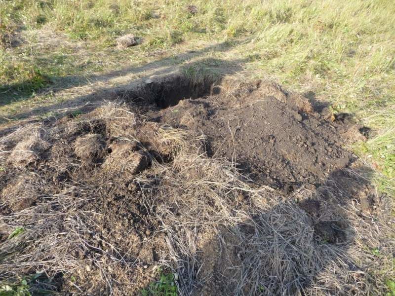 В саду в Штефан-Водэ обнаружена два трупа, жертвы убиты в разное время.