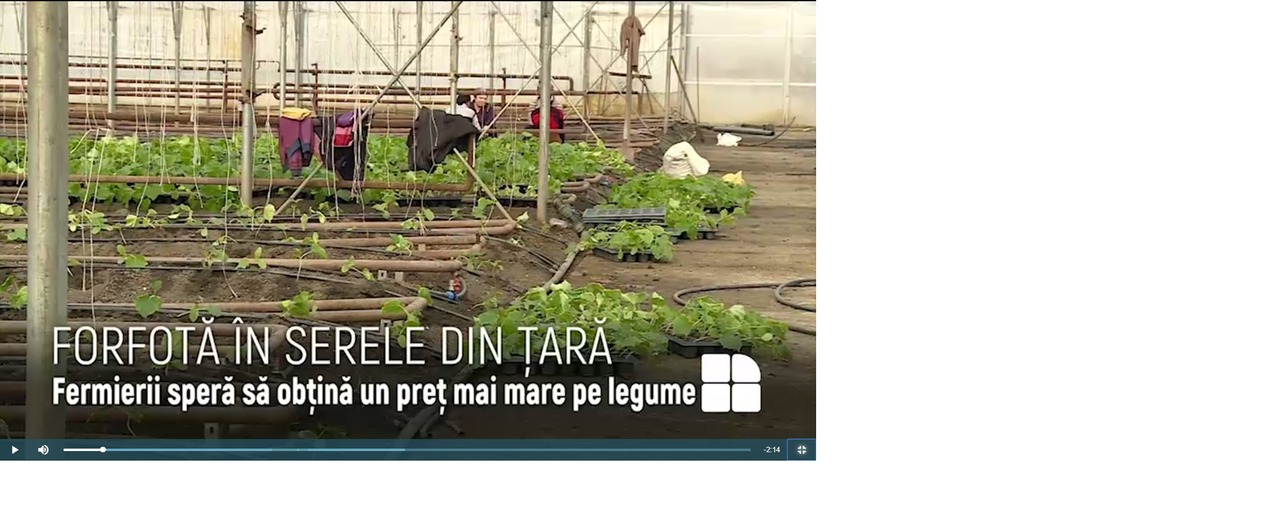 Forfotă în serile din țară: Agricultorii au început deja plantarea legumelor