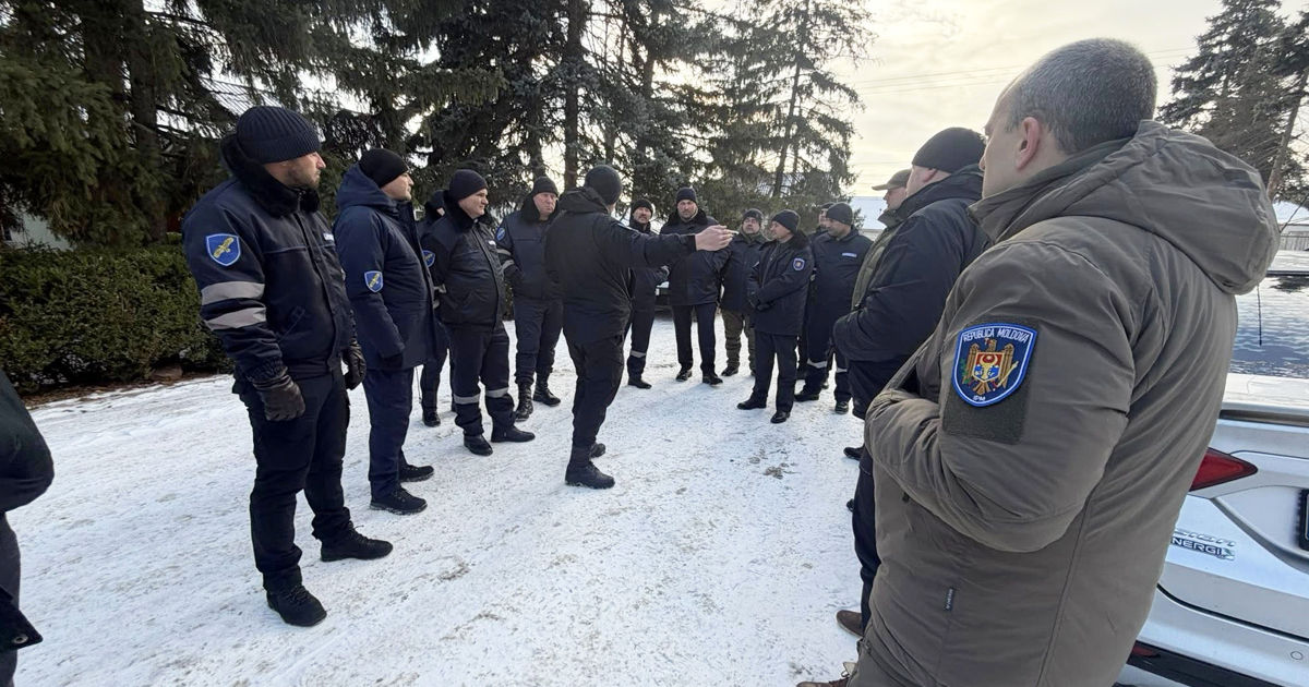 Moldsilva a înregistrat concedieri: Șase administratori silvici au fost demiși