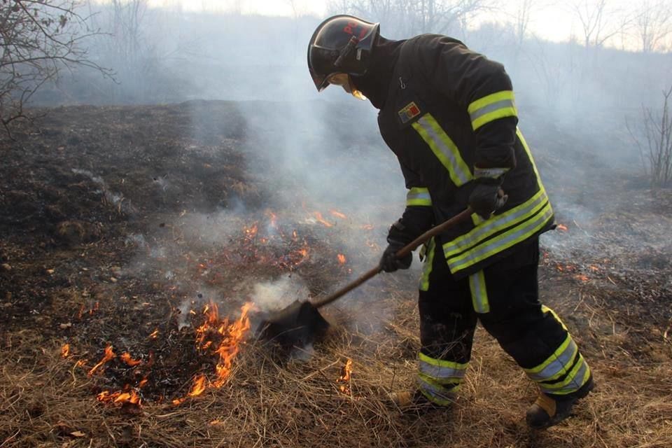 Пожарные потушили более 70 возгораний сухой растительности.