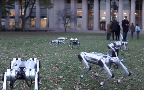 В Массачусетском технологическом институте выгуляли роботов-собак Mini Cheetah в парке. 