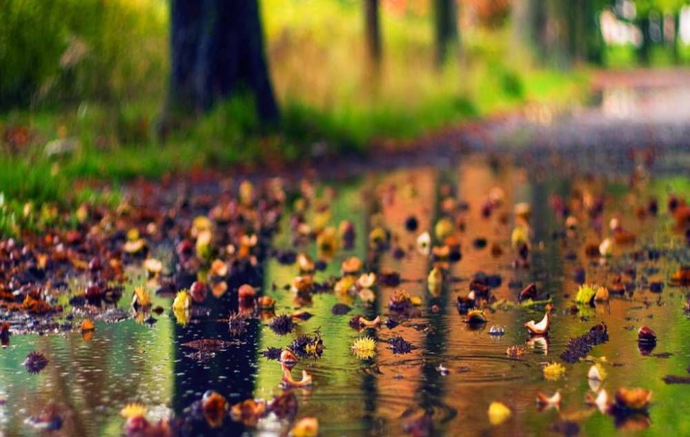 Ce prognoză meteo ne așteaptă în această săptămână. Foto: cugetliber.ro