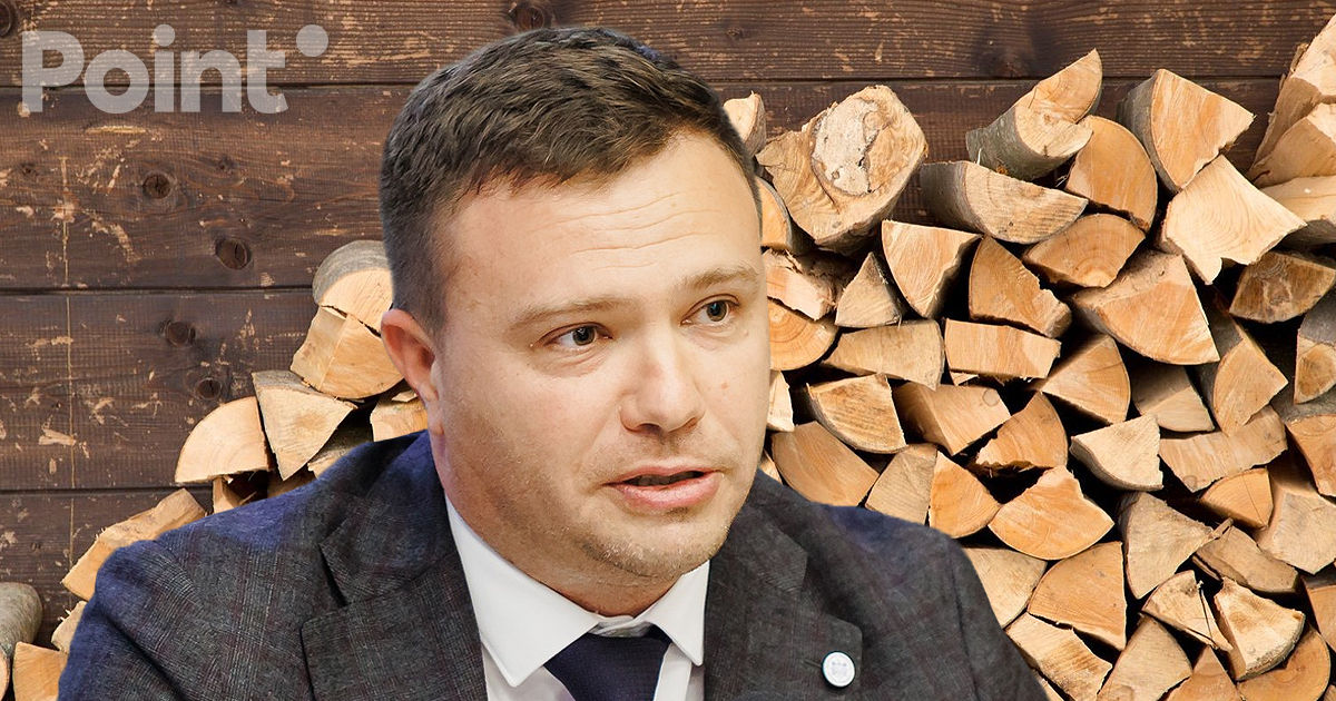 Ministrul Mediului: Prețul lemnului a rămas același, iar rezerve sunt destule.