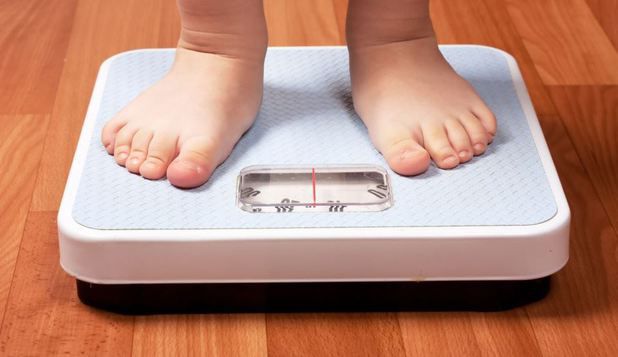 Substanţele chimice adăugate într-o varietate de alimente pot duce la apariţia obezităţii.