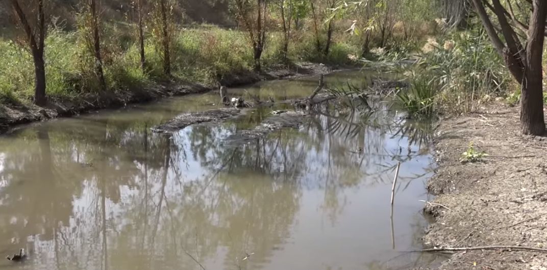 Река Реут в Бельцах почти полностью обмелела.
