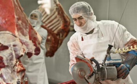 În pofida dezminţirilor sale, comerciantul olandez pare să se afle în centrulinvestigaţiilor care urmăresc să stabilească modul în care a carnea de cal a ajuns în lanţul alimentar european. 