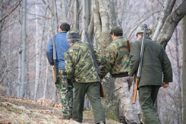 Preşedintele societăţii, Oleg Ciocoi, a relatat pentru Agenţia „INFOTAG” că din cei peste 33 mii de hulubi permişi pentru vânat, circa 20 mii au fost împuşcaţi. 