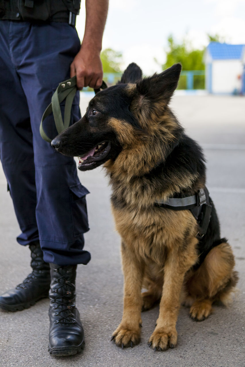 Bilanțul neregulilor înregistrate la frontieră în ultimele 24 de ore