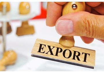  При этом почти половину выручки принесли поставки плодоовощной продукции. 