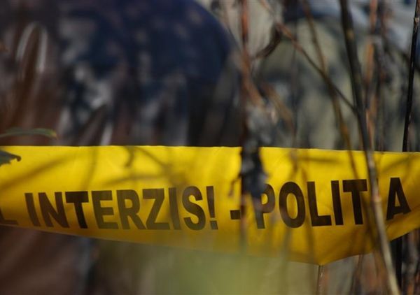 O adolescenta in varsta de 12 ani s-a spanzurat de un copac din gradina casei. Foto: protv.md