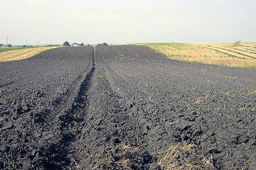 Свыше 145 тысяч гектаров сельхозземель не обрабатываются.