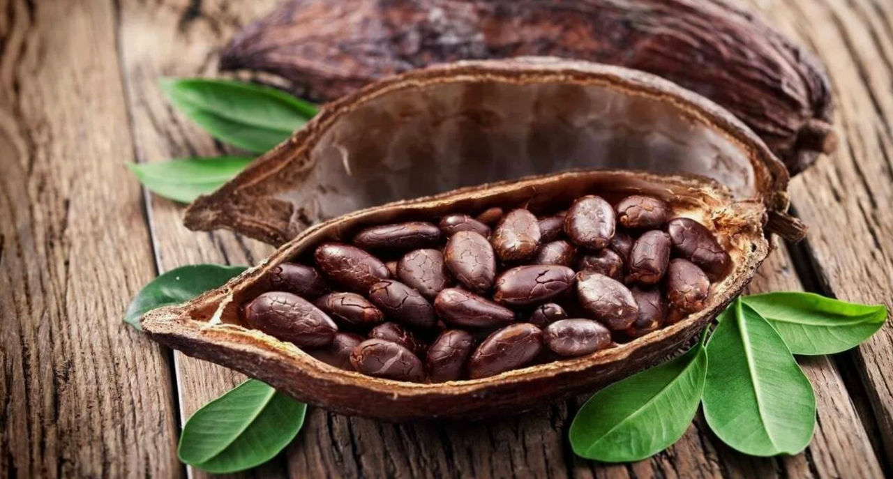 Nestlé a inventat o metodă de a crește producția de cacao: Deficitul dispare.