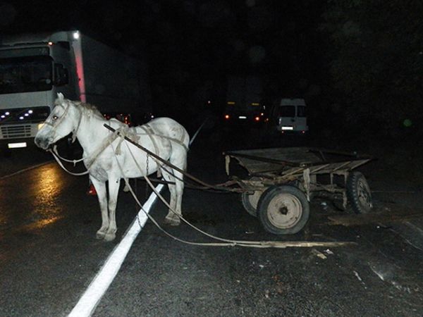 Оба пострадавших являются жителями Конгаза.