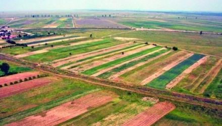 În prezent, în Republica Moldova aproape 200 de hectare de teren agricolo sunt neprelucrate. 