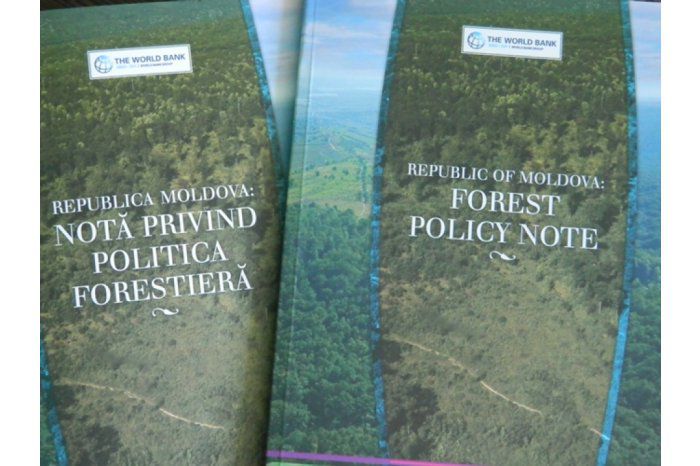 Лесное хозяйство играет важную роль в обеспечении конкурентоспособности.