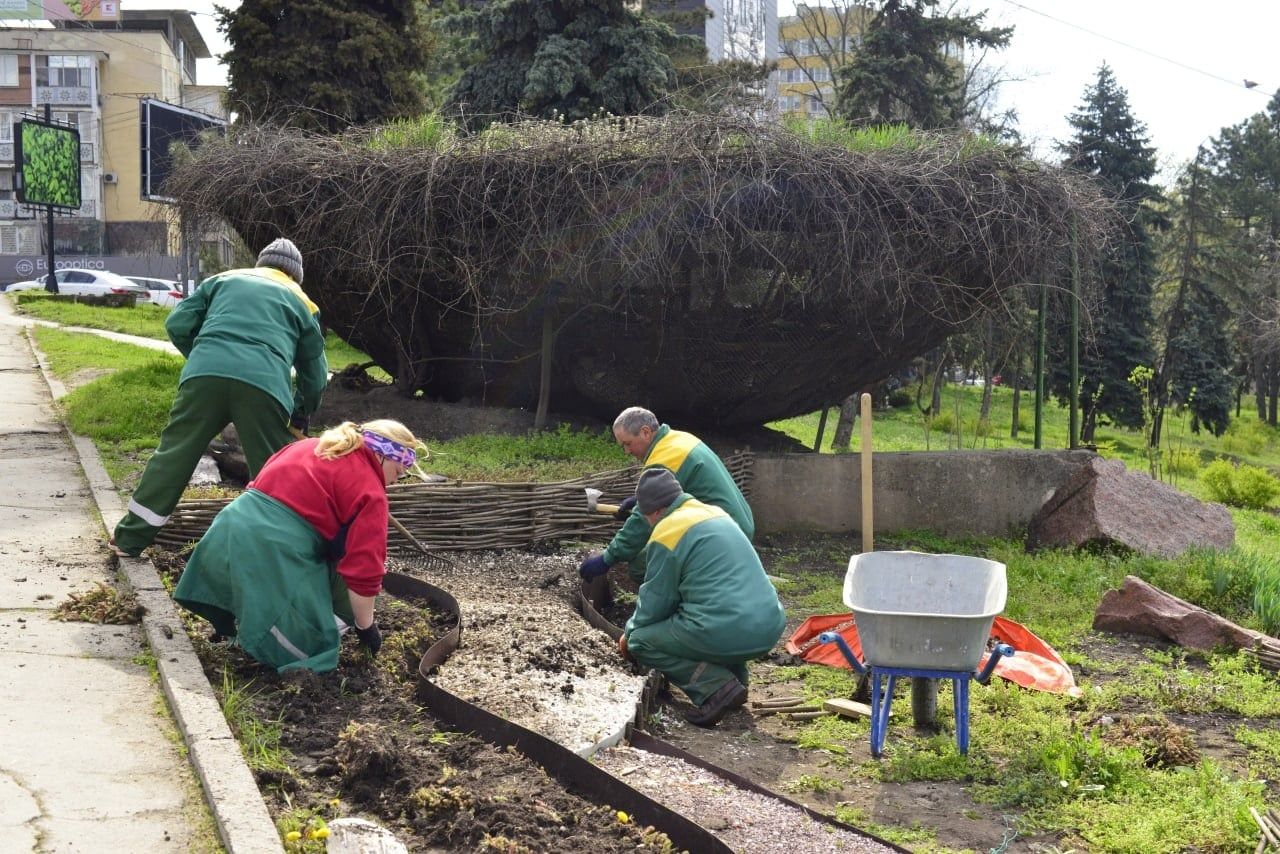 Во всех секторах Кишинёва благоустраивают цветники.