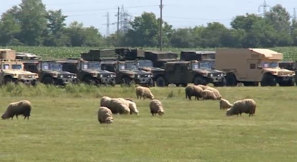 Soldați NATO, invadați de oile românești. Foto: Presa din Constanta