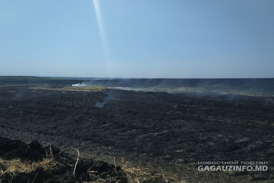 Более 15 гектар стерни сгорело на поле близ Комрата.