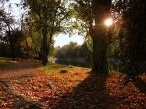 În weekend presiunea atmosferică va fi normală, iar vântul va sufla cu până la 10 m/s. Foto: tesalutviata.blogspot.com
