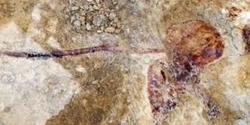 Conform AFP, specialiștii au numit fosila "Atsinganosaurus velauciensis" (dinozaurul țigan).