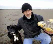 Ken Wilman a descoperit bulgărele de ambră de 3 kilograme în timp ce îşi plimba câinele pe o plajă.