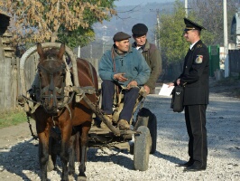   Proprietarii de utilaje autopropulsate utilizate la lucrările de construcţii sau agricole şi cei de vehicule cu tracţiune animală vor fi obligaţi să le înregistreze. 