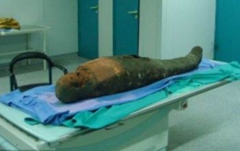 Mislav a mai adaugat ca, cel mai probabil, unealta a fost uitata in interiorul craniului de persoana care se ocupa cu imbalsamatul