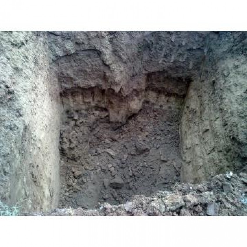 Inculpatul împreună cu fratele său minor au îngropat cadavrul în curtea casei