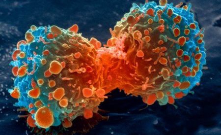 Acesta este rezultatul unei cercetări multidisciplinare, care reuneşte chimişti, biologi şi specialişti în imagistică medicală. 