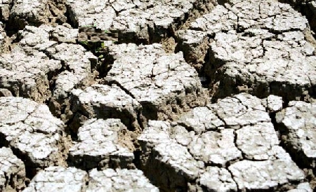 Luna iunie a acestui an a fost a 14-a cea mai caldă şi a 10-a cea mai secetoasă înregistrată până în prezent.