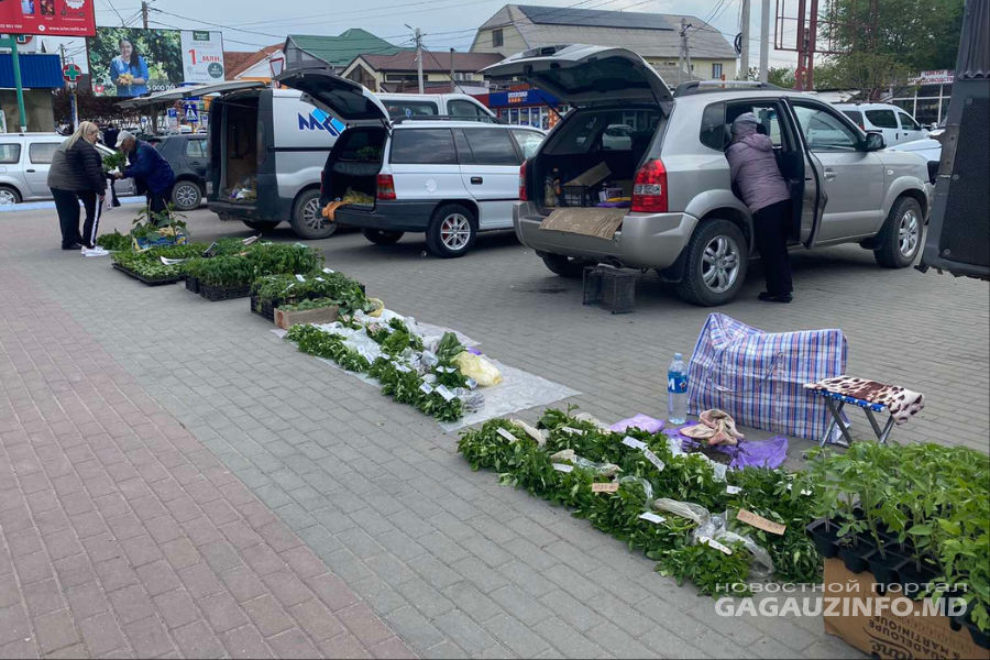 Дачный сезон открыт: в Комрате проходит ярмарка рассады.