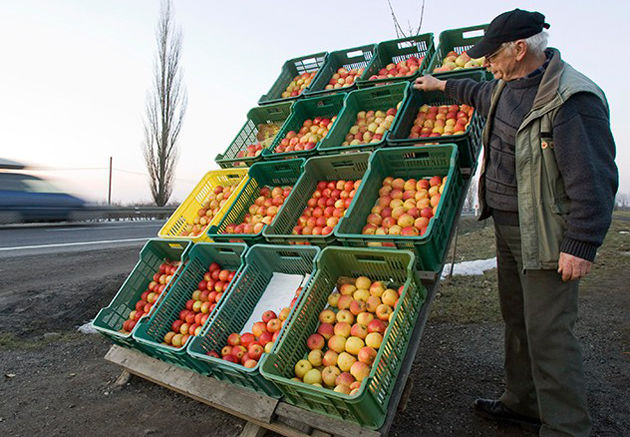 В ПДС предложили упростить процедуру закупки у населения сельхозпродукции.
