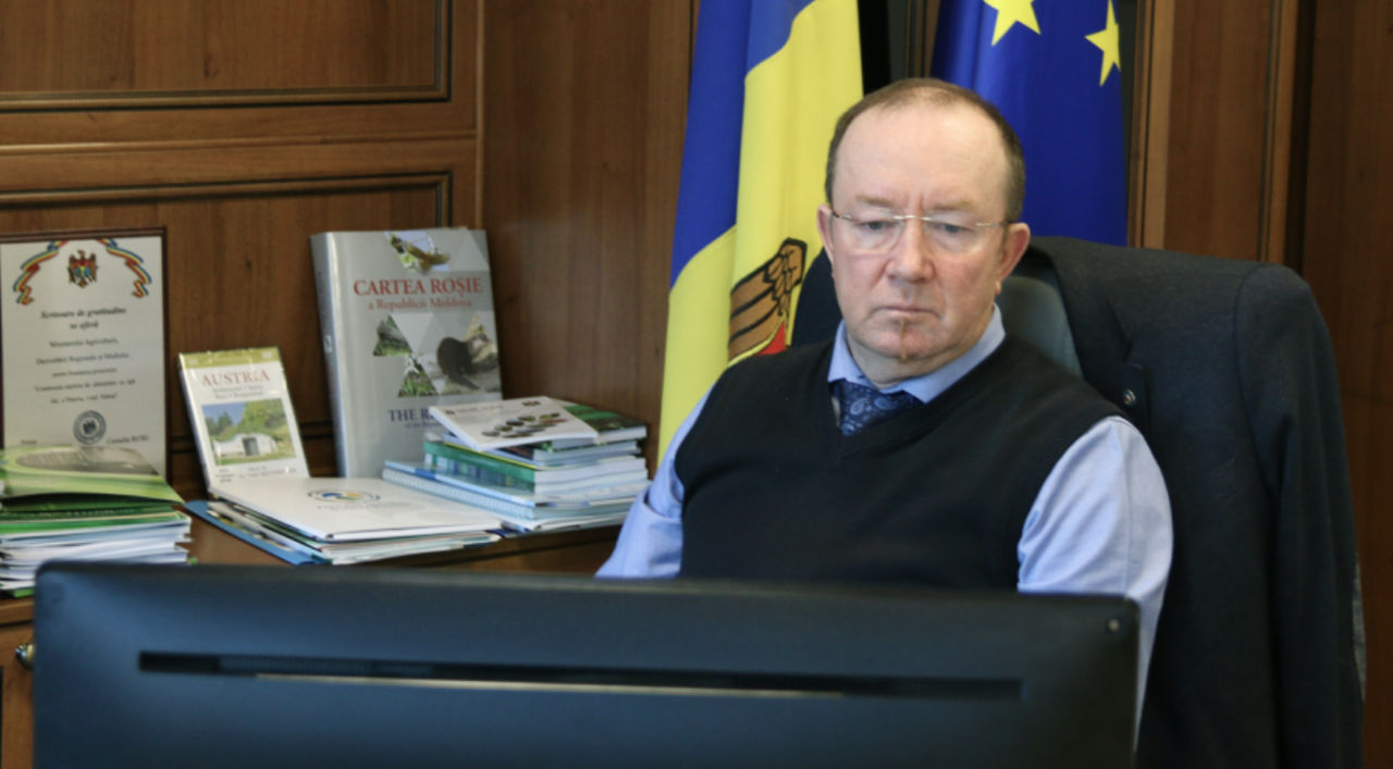 Виорела Герчу подозревают в том, что он занимал несовместимые должности.