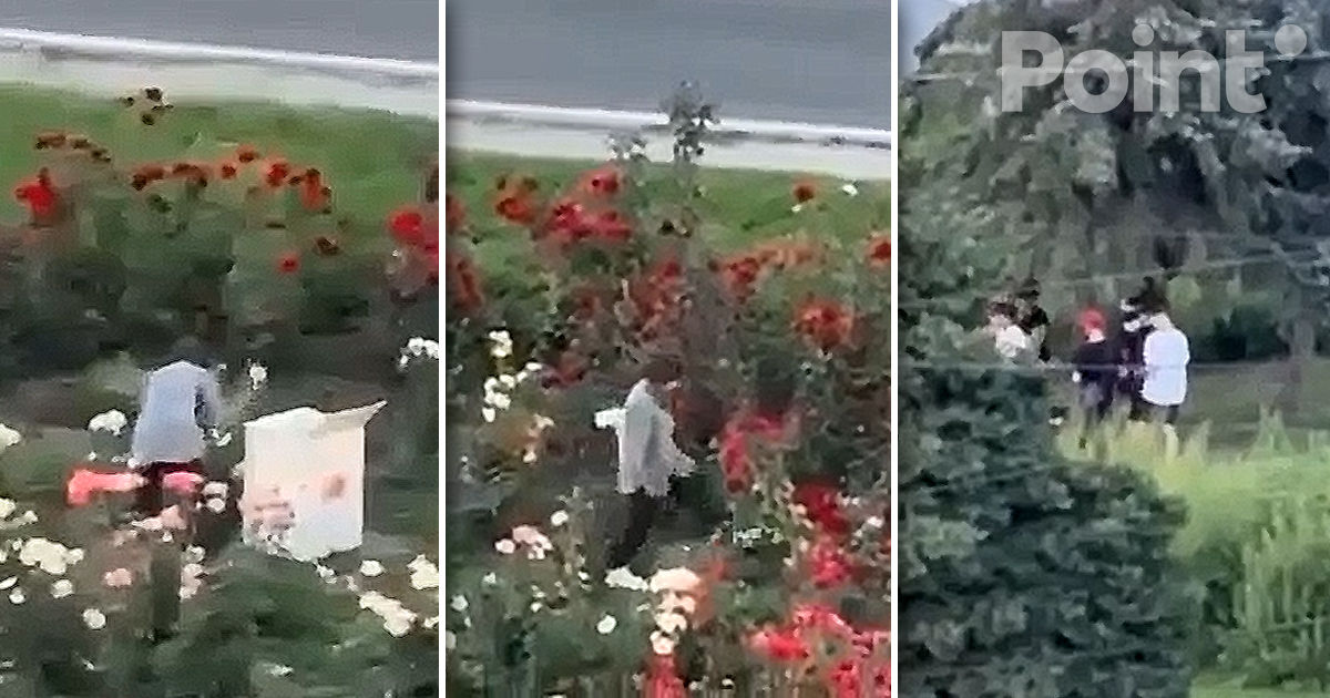 Власти пригрозили мерами гражданам, ворующим цветы с городских клумб.