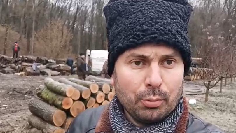 Костюк о вырубке лесов: Продать дом главы Moldsilva и на эти деньги посадить деревья. 
