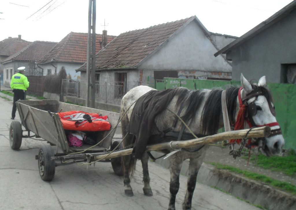 Un căruțaș a fost târât de cal pe o distanță de 1,5 km. 
