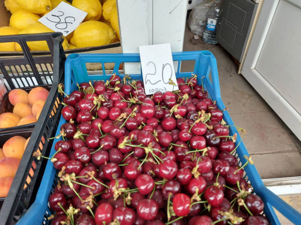 В Гагаузии появилась в продаже черешня по 200 леев за килограмм.