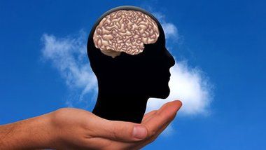 Объем мозга и размеры тела генетически связаны.
