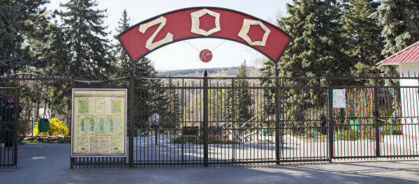 Кишинёвский зоопарк не будет приостанавливать работу.