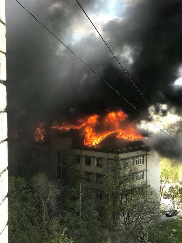Пожар в Институте зоологии причинил огромный ущерб.