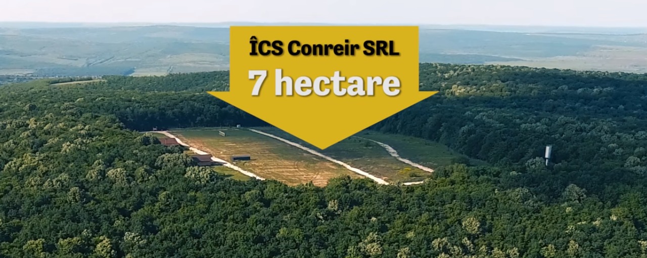 Cartier de clasă lux în Rezervația Căpriana. Foto: captură video