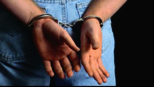 Cetăţeni ai Israelului, reţinuţi pentru migraţie ilegală. 