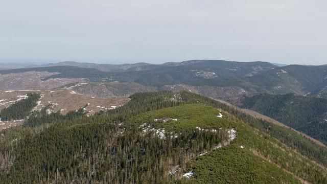 Rusia promite cetățenie celor care investesc peste 10 milioane dolari în Orientul Îndepărtat. 