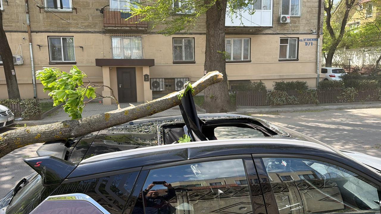 Упавшее дерево повредило панорамную крышу припаркованного автомобиля.
