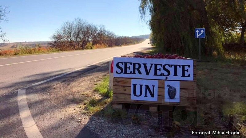 Еще один садовод из Молдовы бесплатно предлагает жителям яблоки.
