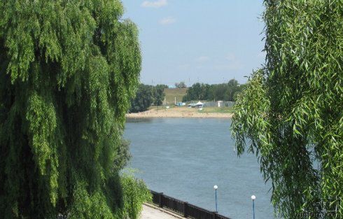 В кустах на берегу озера в парке «Дружбы народов» найден труп мужчины.