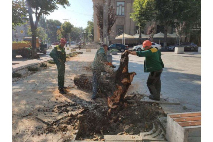 Из-за разгула стихии на прошлой неделе в столице оказались поваленными 28 деревьев.