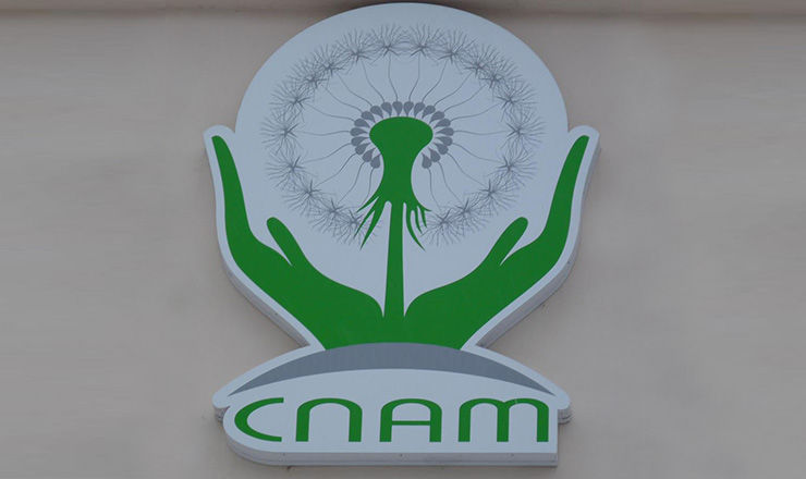 CNAM выделит на каждый грант по 1 млн леев. 